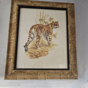 Framed Tiger Art Print